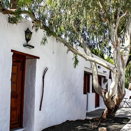 Apartamentos Delmas